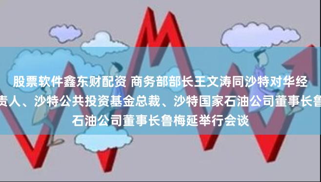 股票软件鑫东财配资 商务部部长王文涛同沙特对华经济合作事务负责人、沙特公共投资基金总裁、沙特国家石油公司董事长鲁梅延举行会谈